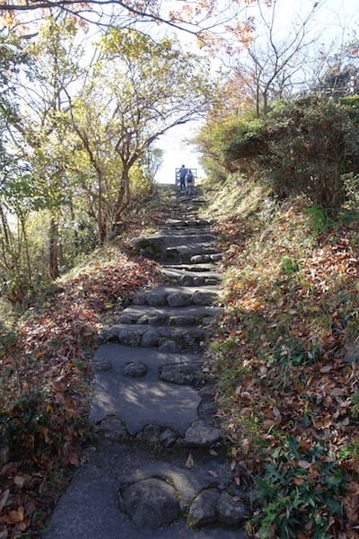 DSC01665.jpg DSC01665.jpg