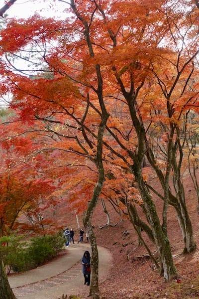 DSC01846.jpg DSC01846.jpg