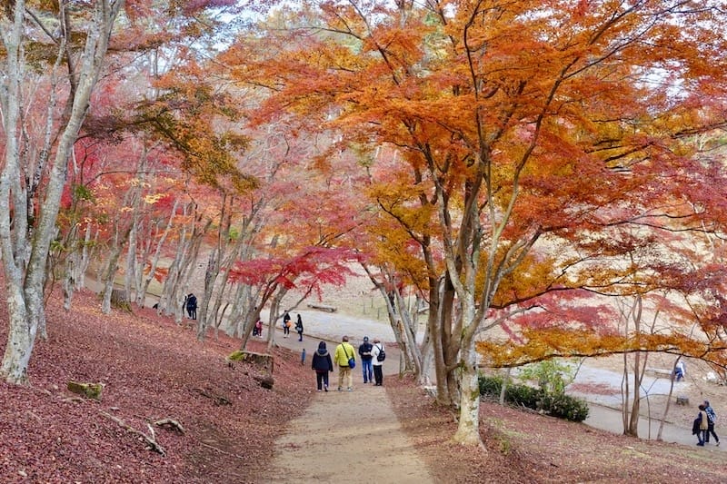 DSC01858.jpg DSC01858.jpg