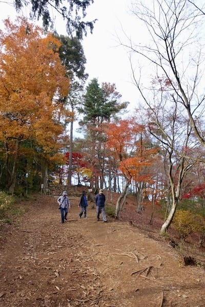 DSC01857.jpg DSC01857.jpg