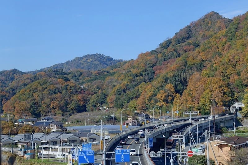 DSC01586.jpg DSC01586.jpg