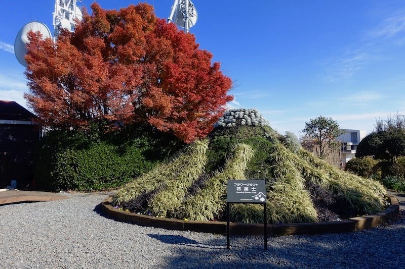 DSC01699.jpg DSC01699.jpg