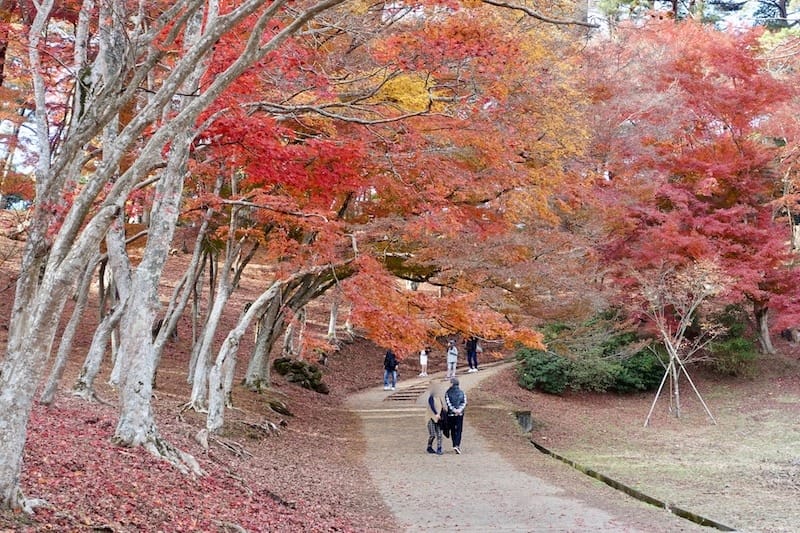 DSC01862.jpg DSC01862.jpg