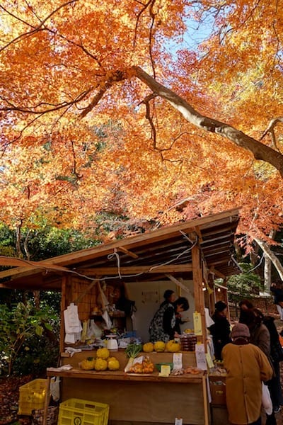 DSC01876.jpg DSC01876.jpg