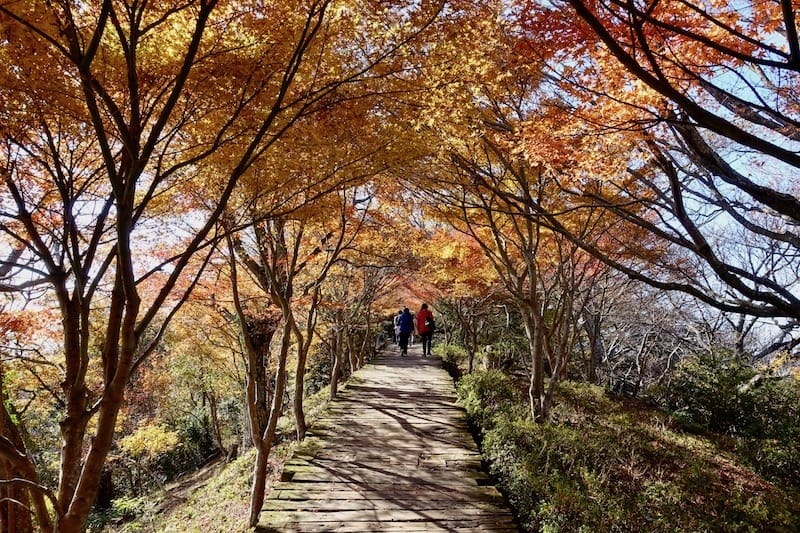 DSC01664.jpg DSC01664.jpg