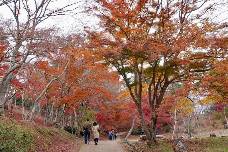 DSC01818.jpg DSC01818.jpg