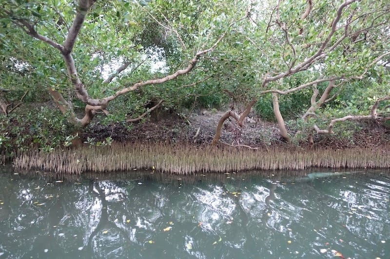 DSC09848.jpg DSC09848.jpg