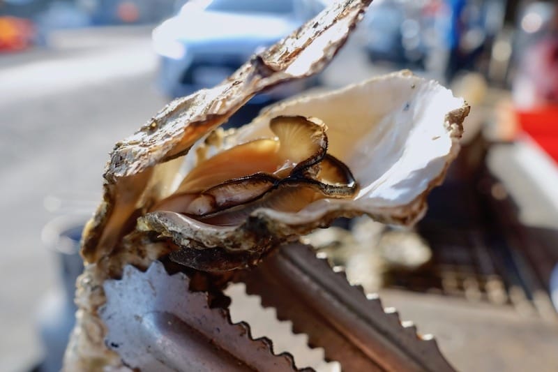 DSC09716.jpg DSC09716.jpg