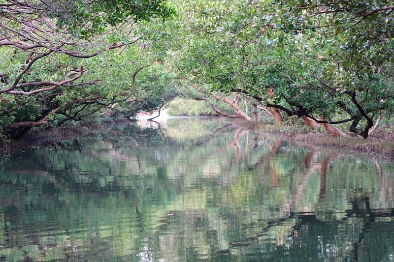 DSC09798.jpg DSC09798.jpg