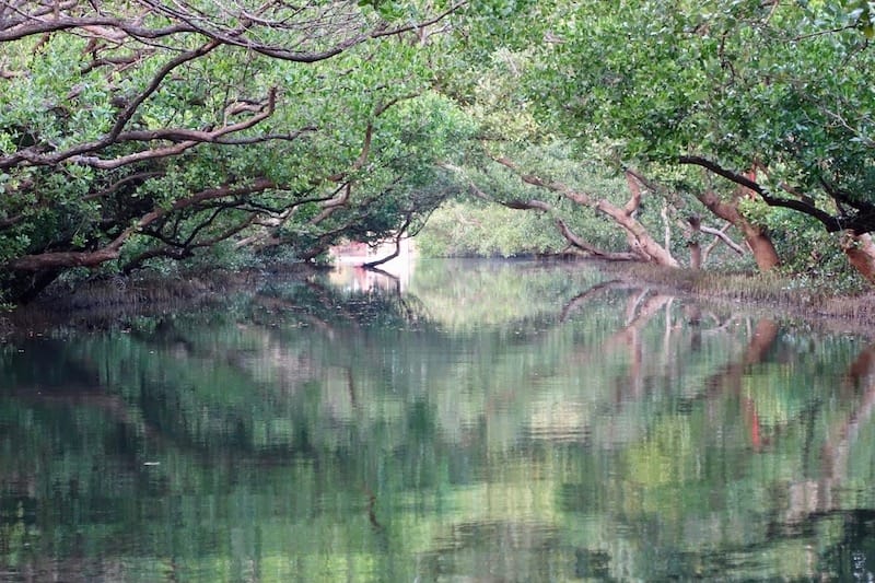 DSC09795.jpg DSC09795.jpg