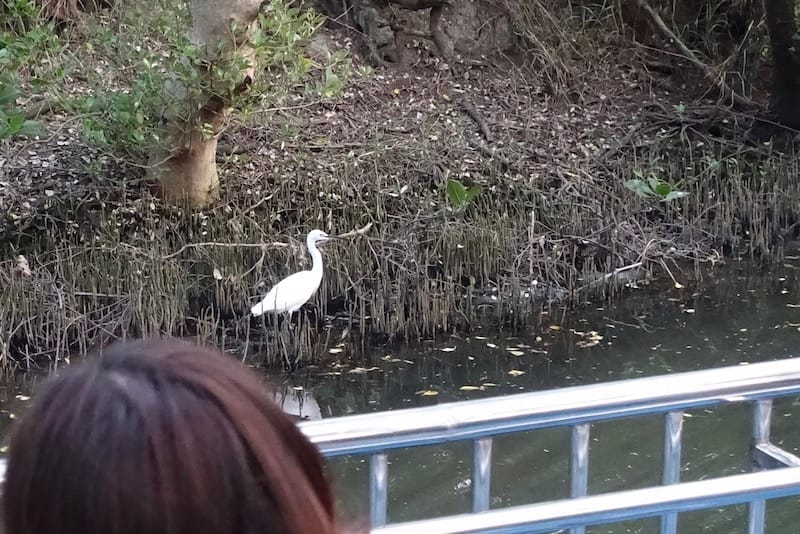 DSC09774.jpg DSC09774.jpg