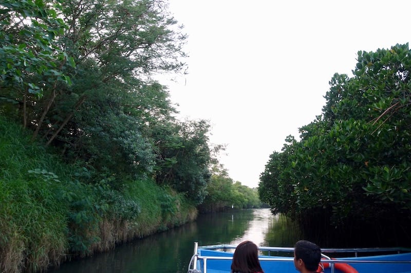 DSC09743.jpg DSC09743.jpg