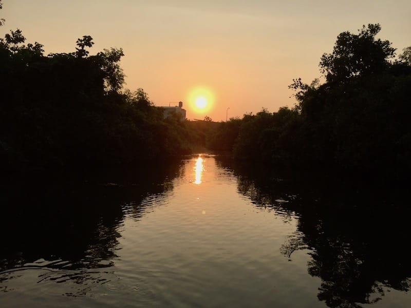 IMG_7861.jpg IMG_7861.jpg