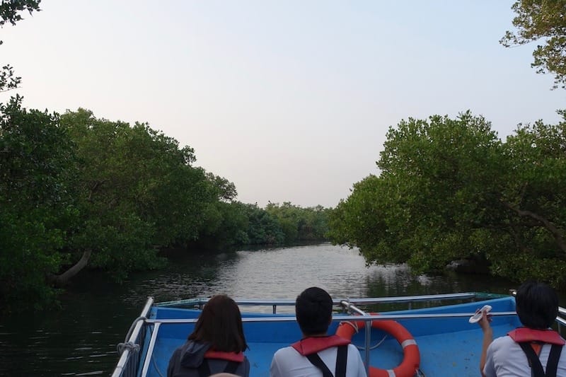 DSC09753.jpg DSC09753.jpg