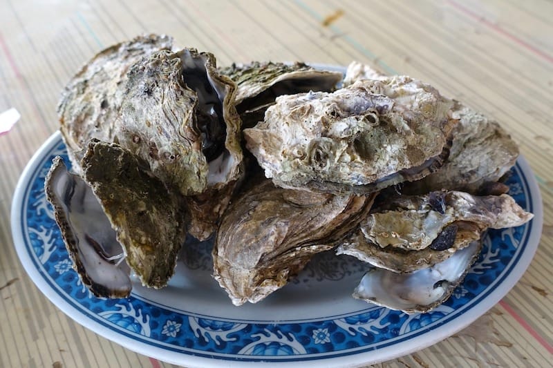 DSC09727.jpg DSC09727.jpg