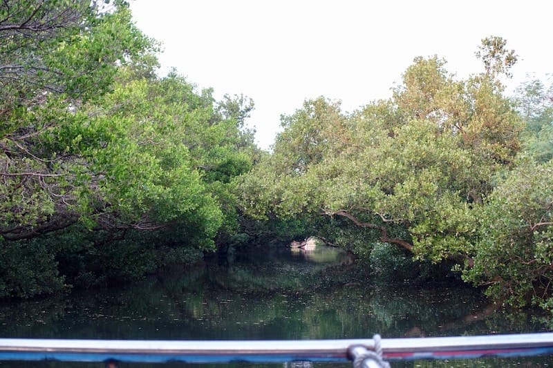 DSC09780.jpg DSC09780.jpg