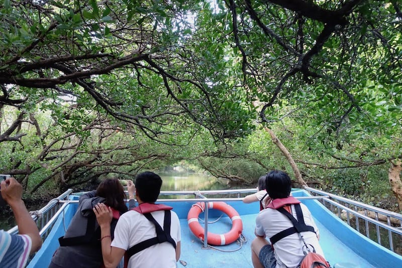 DSC09772.jpg DSC09772.jpg