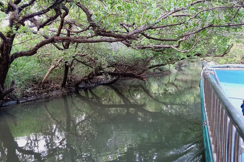 DSC09769.jpg DSC09769.jpg