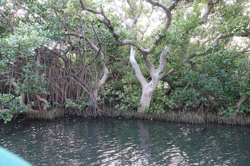 DSC09754.jpg DSC09754.jpg