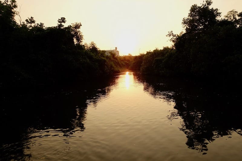 DSC09763.jpg DSC09763.jpg