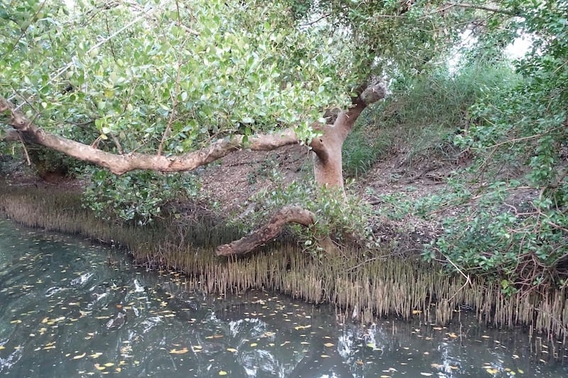 DSC09822.jpg DSC09822.jpg