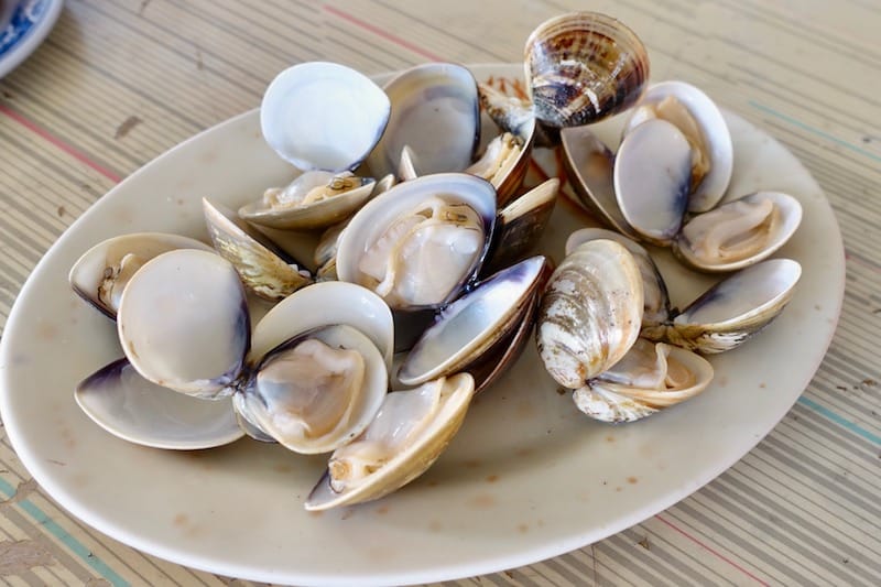 DSC09722.jpg DSC09722.jpg