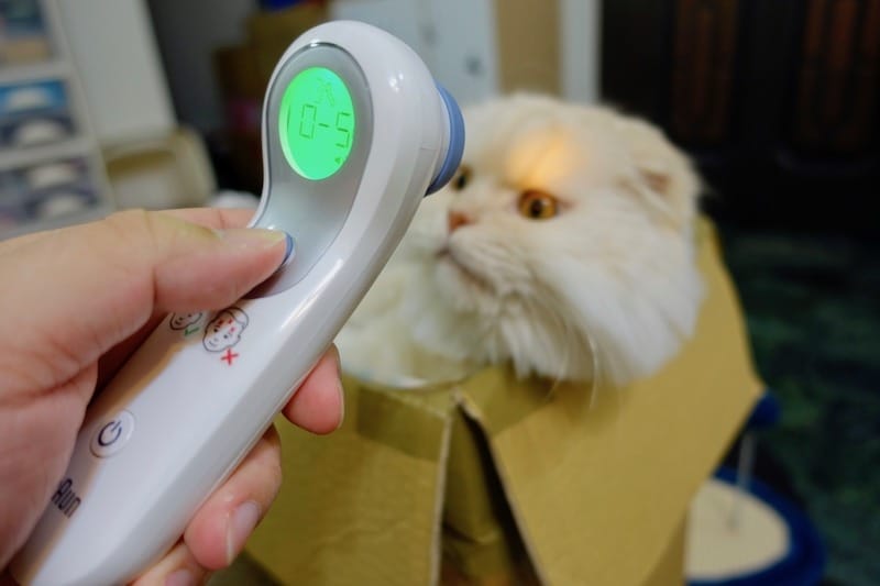 DSC05448.jpg DSC05448.jpg