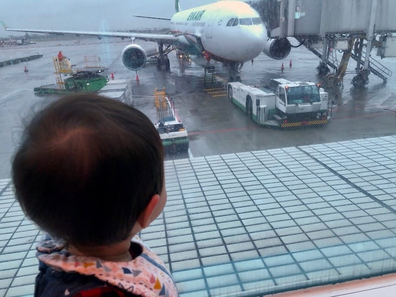 IMG_0821.jpeg IMG_0821.jpeg