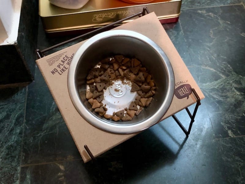 IMG_7275.jpeg IMG_7275.jpeg