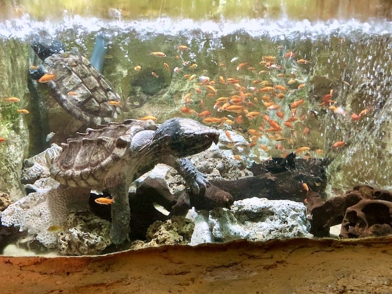 IMG_6408.jpeg IMG_6408.jpeg