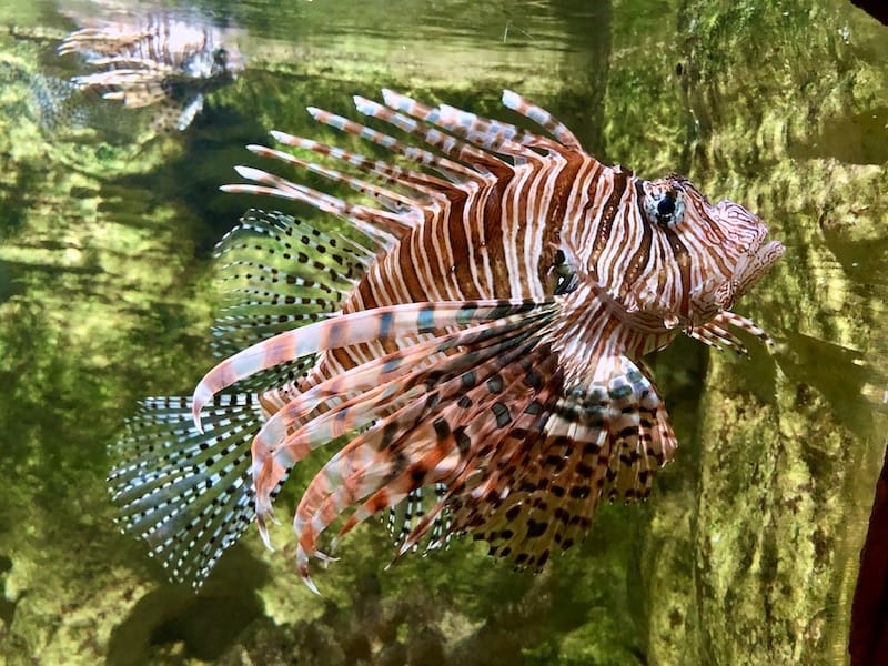 IMG_6427.jpeg IMG_6427.jpeg