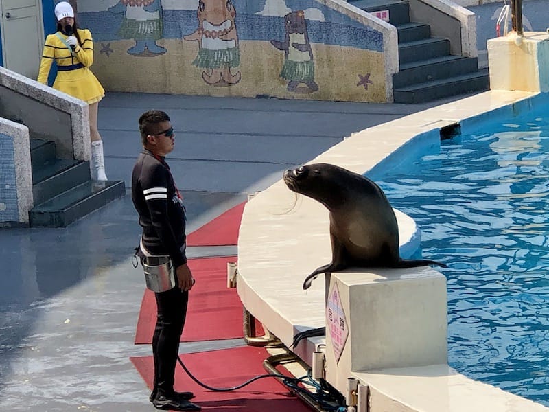 IMG_6487.jpeg IMG_6487.jpeg