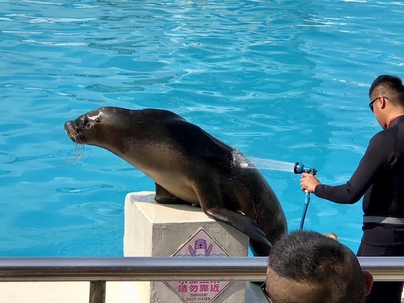 IMG_6493.jpeg IMG_6493.jpeg