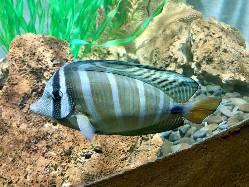 IMG_6423.jpeg IMG_6423.jpeg