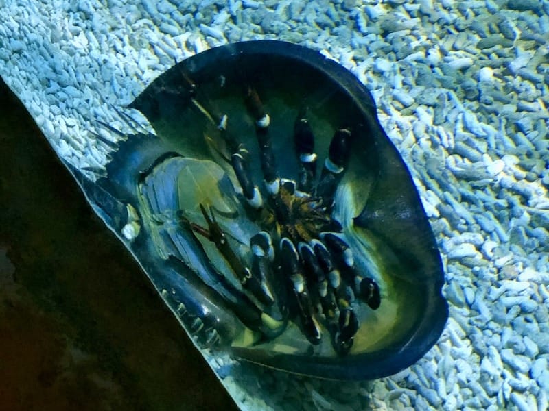 IMG_6440.jpeg IMG_6440.jpeg