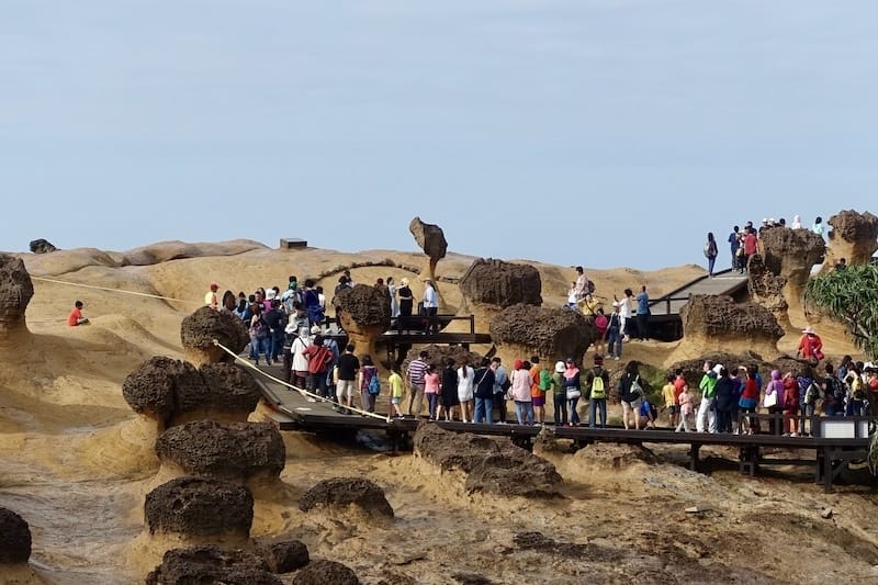 DSC00593.jpeg DSC00593.jpeg