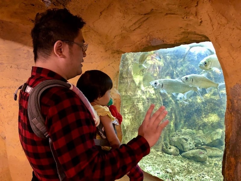 IMG_6435.jpeg IMG_6435.jpeg