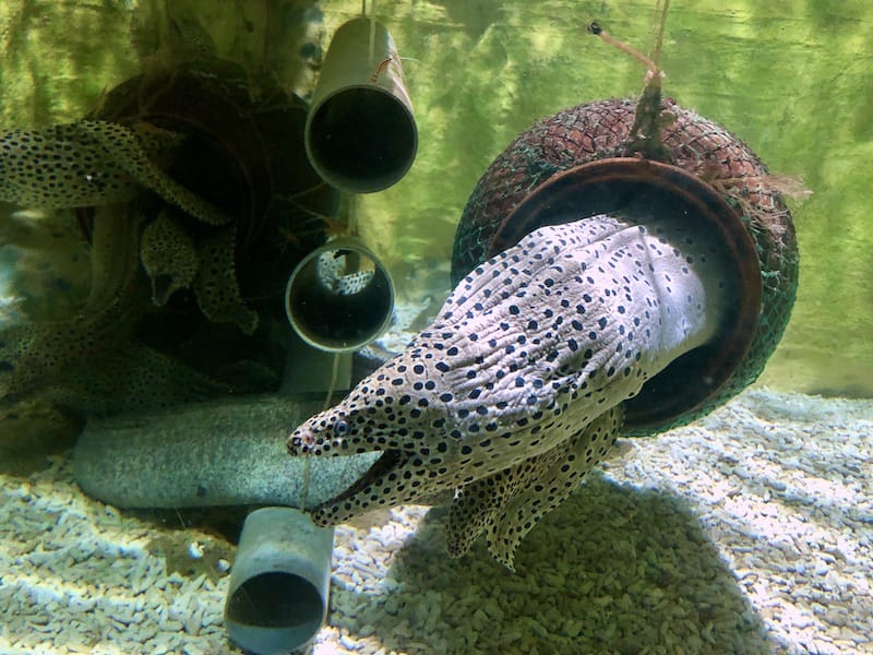 IMG_6457.jpeg IMG_6457.jpeg