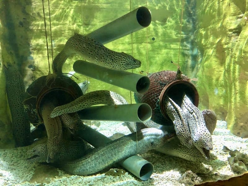 IMG_6456.jpeg IMG_6456.jpeg