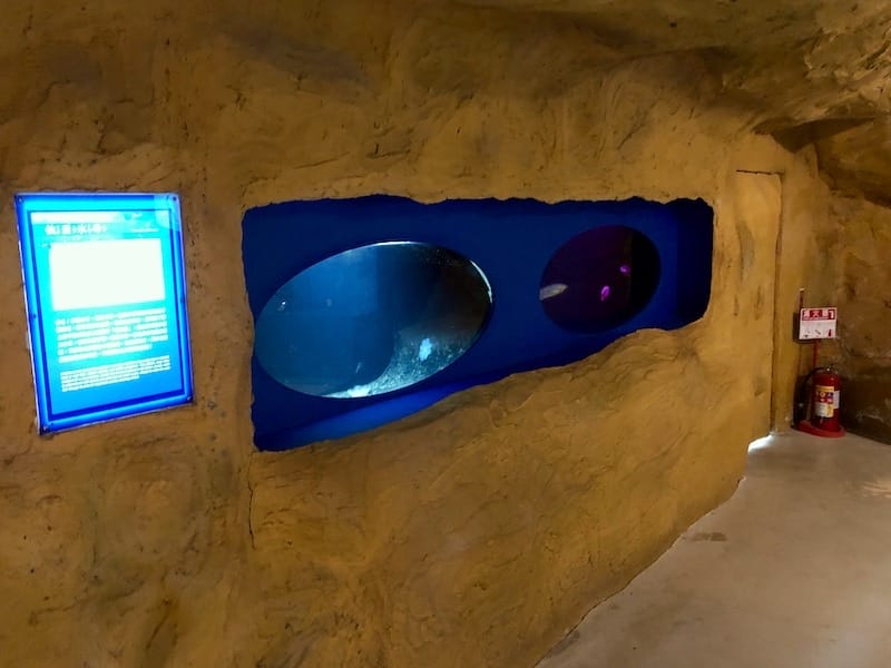 IMG_6403.jpeg IMG_6403.jpeg