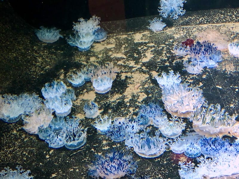 IMG_6404.jpeg IMG_6404.jpeg