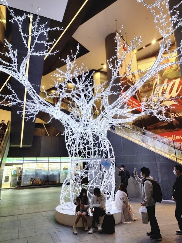 20221126_202314.jpg 20221126_202314.jpg