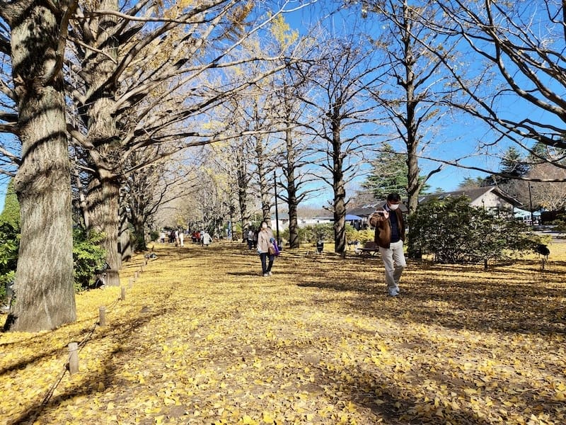 20221127_103159.jpg 20221127_103159.jpg