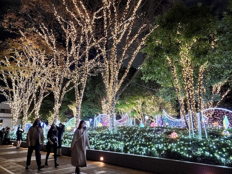 20221127_180350.jpg 20221127_180350.jpg