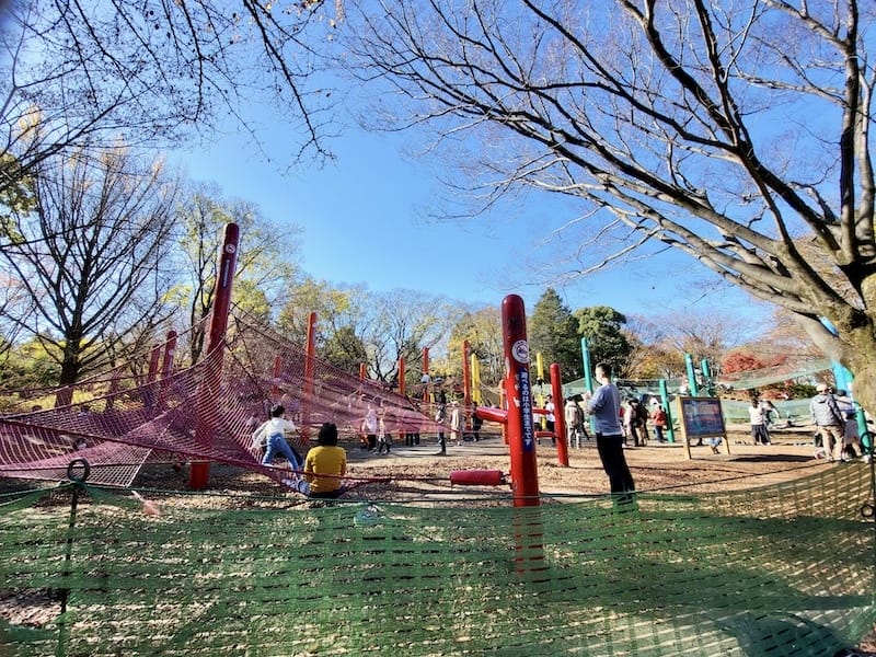 20221127_120544.jpg 20221127_120544.jpg