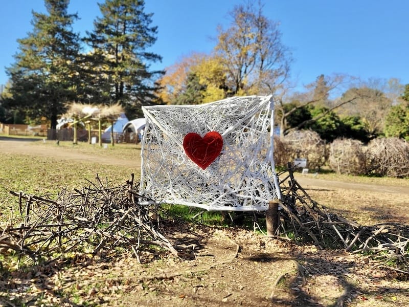 20221127_132946.jpg 20221127_132946.jpg