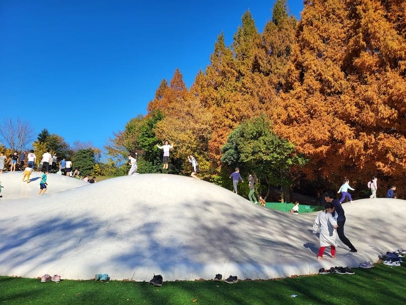 20221127_124742.jpg 20221127_124742.jpg