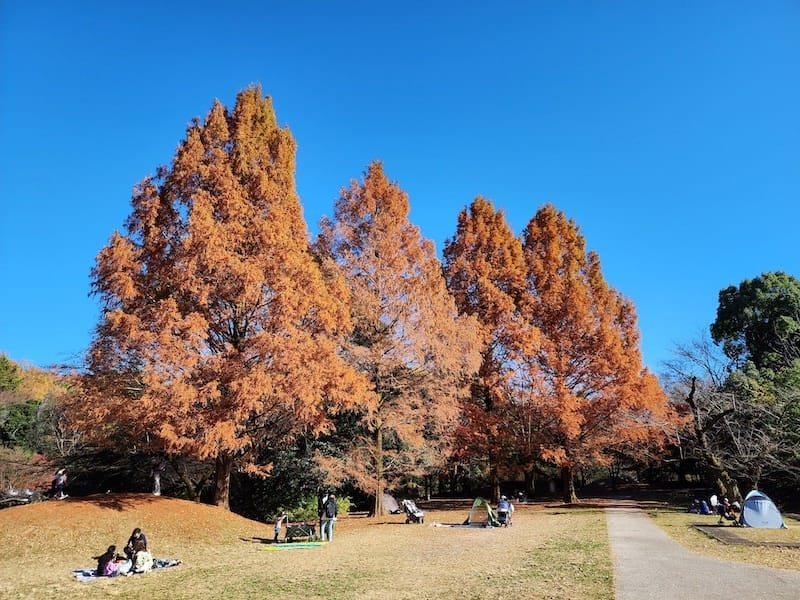 20221127_130023.jpg 20221127_130023.jpg