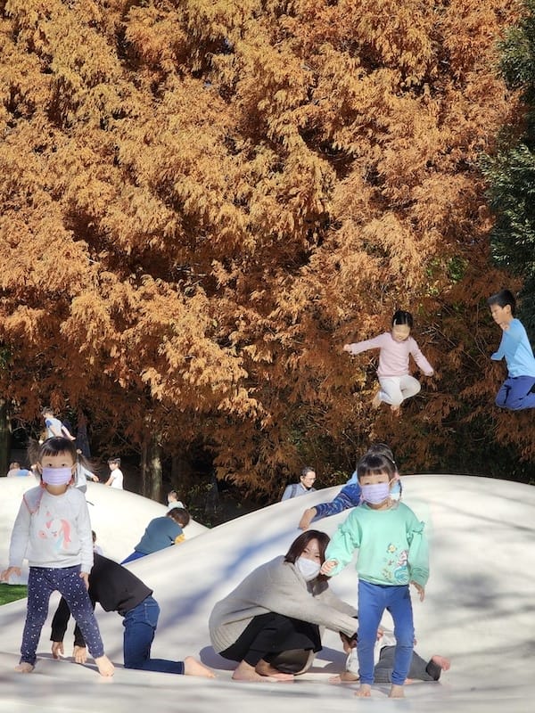 20221127_124057.jpg 20221127_124057.jpg