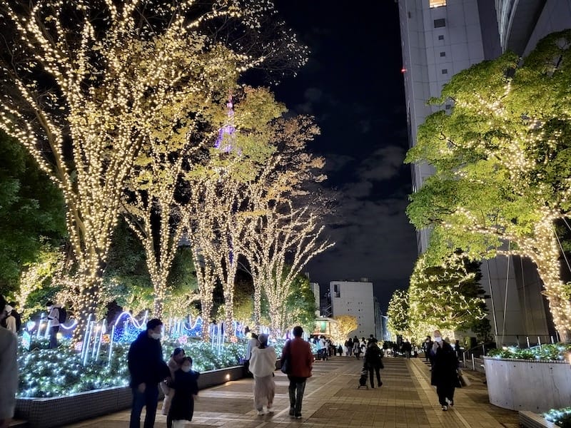 20221127_175337.jpg 20221127_175337.jpg